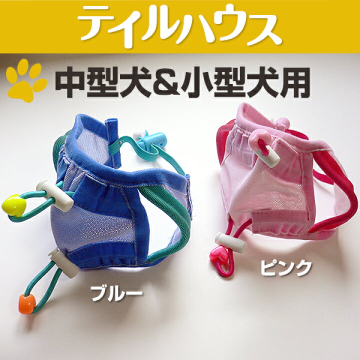 楽天市場 たれ耳 外耳炎 犬 たれ耳犬 犬の健康 耳の病気 耳のケア 通気性 ジメジメ じめじめ マラセチア菌 耳上げ たれ耳アップ 中型犬 小型犬 マルチーズ キャバリア トイプードル ビーグル ダックスフンド コッカー シーズー たれ耳アップだワン Tailhouse テイルハウス