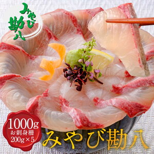 ݂ъ u1000gv 1000g 1kg 茧Y {B uh  ς    Ⓚ  hg CN Jp`