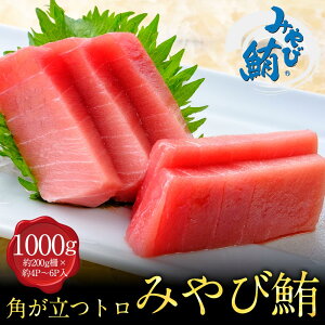 LINE ݂і ug1000gvg 1000g 1kg {}O Ƃ }O   Ȃ Ȃ Ȃ ȒP {Buh { hg hg ܂ g CN   