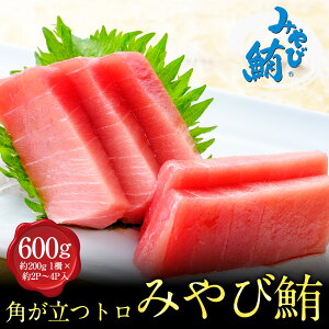 LINE ݂і ug600gvg 600g {}O Ƃ }O   Ȃ Ȃ Ȃ ȒP {Buh { hg hg ܂ g CN   Ђ 