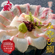 LINE限定 みやび鯛 「□鯛1000g」900g＋おまけ100g 計1kg 100g増量 刺身 さしみ 鯛 タイ たい 冷凍 熊本…