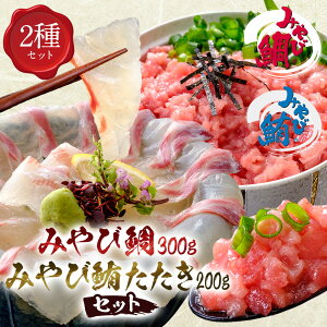 ݂ё u₽Zbgv݂і lMg 200g hg 300g hg  ^C }O Ⓚ  Hׂ CN Mtg 蕨 ^ { F{ 茧 VY O 