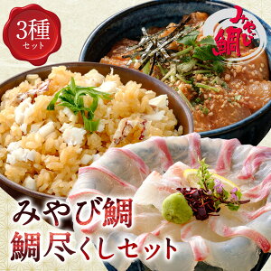 ݂ёusZbgvVY ߂ ܒЂ hg CN Ⓚ Mtg 蕨 ^  Hׂ ؃Zbg Hה CNO J ȒP 