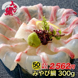 【半額★3日20:00〜11日01:59】みやび鯛 「鯛300g」おためし 刺身 300g 鯛 タイ たい 熊本県 養殖 真鯛 刺身 魚介 海鮮 切り身 切身 小分け 食べきり 骨なし 皮なし 天草産