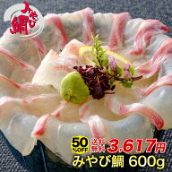 【半額クーポン★14日20:00〜22日09:59】みやび鯛 「鯛600g」刺身 600g 鯛 タイ たい 熊本県 養殖 真鯛 …