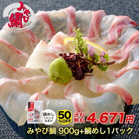【半額★9日20:00〜16日01:59まで】みやび鯛「鯛900g」+鯛めしの素おまけ付き 刺身 冷凍 おさしみ 鯛めし 熊本県 養殖 真鯛 小分け ブロック 食べきり 海鮮 魚介 飯 おかず ごちそう ギフト 天草産 贈り物