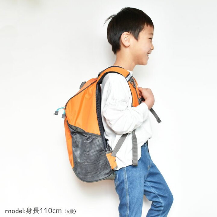 楽天市場】ザ・ノース・フェイス NMJ72359 THE NORTH FACE【17リットル 