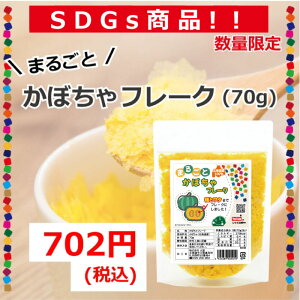 yz]̂܂邲Ƃڂt[N(70g)ySDGsiz