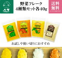 【TVに紹介されました！】【公式】大望の野菜フレーク4種類セット各40gお試し/初めて/料理/お菓子/スープ/パン/離乳食/介護食/かぼちゃ/とうもろこし/にんじん/じゃがいも/送料無料/使い切り/裏ごし/簡単/北海道/ベビーフード