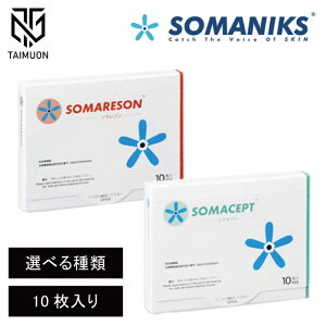 �y�I�ׂ�2��ށz ���m���a�� �q�\�}�Z�v�g L �u���[ /�\�}���]�� L �I�����W�r10������