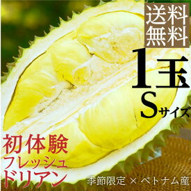 楽天市場 お中元 フルーツ 果物 食品 の通販