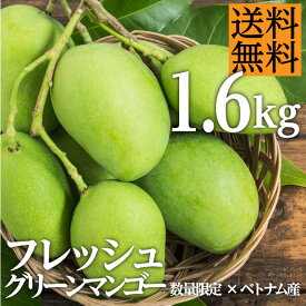 楽天市場 グリーンマンゴー 食品 の通販
