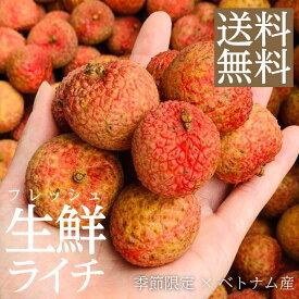 楽天市場 ライチ 生産国ベトナム フルーツ 果物 食品 の通販