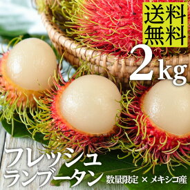 楽天市場 ランブータンの通販