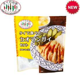 タイの台所 タイで食べた カオマンガイセット（チキンライス） 118g 約2人前 鶏肉 米 炊飯器 ミールキット 時短 タイ料理 タイ エスニック料理 アジア