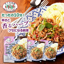 [10%OFFクーポン対象]【3個セット】 タイで食べた ラープセット（スパイシーひき肉サラダ） 32g 約2人前 タイの台所 サラダ 前菜 ミールキット 時短 タイ料理 タイ エスニック料理 アジア イサーン