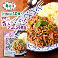 タイで食べた ラープセット（スパイシーひき肉サラダ） 32g 約2人前 タイの台所 サラダ 前菜 ミールキッ…