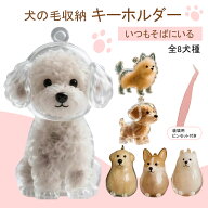 ペット 遺毛 ケース 透明 ペット 遺毛入れ 犬の毛収納ボトル 9タイプ ペット 犬のキーホルダー 抜け毛収…