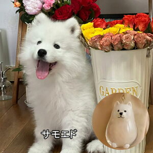 ybg  P[X  ybg ѓ ̖ю[{g 9^Cv ybg ̃L[z_[ ю[ ̖ L[z_[ g  тۊǂ{g ̖уL[z_[ 