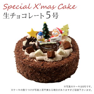 【特製 クリスマスケーキ 予約 2025】生チョコレートケーキ5号 直径15cmご予約受付中!クリスマス向け特製ケーキ★家族で、友達と、皆で♪