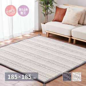 Rbg 100  O ėp 2 O}bg   J[ybg O~ ` lp h Ɍ VRf ~ RpNg[ 炮 AC{[ lCr[yW 185×185cmz