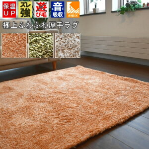 ۃO ӂӂ ~` VM[O  160cm ی`  ~ J[ybg O~ IW x[W O[ n k _  J[ybg a160 TOHO yeB^~`160z