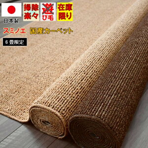 6畳 じゅうたん カーペット ラグ マット 絨毯 通販 価格比較 価格 Com