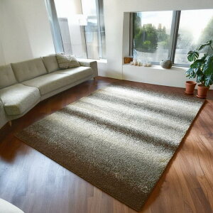 O~ O 240x340cmi6jJ[ybg イ O}bg  Of[V zXJ[uh VM[ EBgD IWi Ѝ݌ yWu 240×340z lp `