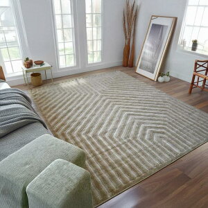 �ŏI���i ���O �O���[ �x�[�W�� ������� �� 3�� 160x230cm �O�~ �����b�J�� �J�[�y�b�g �O�~ ���_�� �C���e���A �E�B���g�� �I���W�i�� ���イ���� ���Ѝ݌� �y�i�r�[�� 160×230�z ��O�� �����` 
