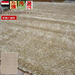 在庫限り シャギー ラグ 200x290cm 約 4畳 おしゃれ 絨毯 カーペット 床暖房対応 ナチュラル シンプル 北欧 モダン 厚手 極厚 じゅうたん ふわふわ 長方形 ベージュ オールシーズン HORUSCOLOR 当社