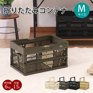 yzyVizFBM42@܂肽݃Rei@M@e15L@ςݏdˉ\@X^bLO XgbN{bNX@ᔠ [{bNX [BOX@AEghA@h[{bNX@~