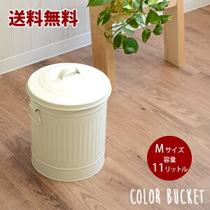 yzKiύX܂BJ[oPc M t^tgŃIVȃoPcES~@color bucket@_Xg{bNX@X`[@11L@t
