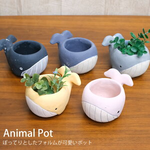 yVizCN24@Aj}|bgNWS@@@Jo[@v^[@K[fjO@@A@AeB[N