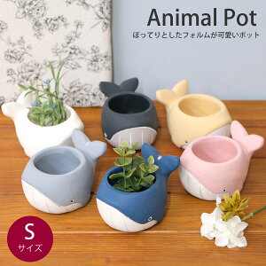 yVizCN30@NW|bg25S@@@Aؔ@Jo[@v^[@K[fjO@@A@AeB[N