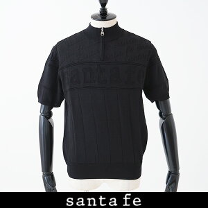 Santafe (�T���^�t�F)�T�}�[�Z�[�^�[�u���b�N0250 231 15802 019