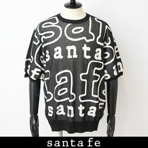 Santafe (�T���^�t�F)�T�}�[�Z�[�^�[�u���b�N11801 019