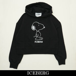 ICEBERG(�A�C�X�o�[�O)���f�B�[�X�p�[�J�[�u���b�NIH0821-26