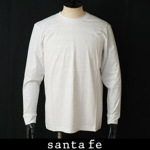 SANTAFE(�T���^�t�F)�����OT�V���c����T�V���c�z���C�g0180 255 84402