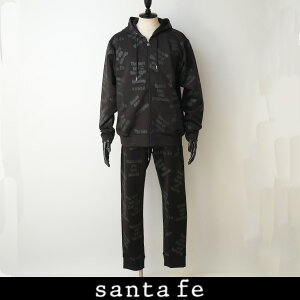SANTAFE(�T���^�t�F)�Z�b�g�A�b�v�u���b�N0290 255 84805/0240 255 84807