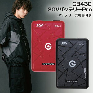 �y�X�[�p�[SALE�ő�20��OFF�z�y�݌ɂ���E���������z���M�W���p�� GB430 30V�o�b�e���[Pro GB-POWER �󒲕��p 93Wh USB-A�o�� �����o�͑Ή� 4�i�K�o�� PSE�K�� �o�b�e���[ �[�d��Z�b�g