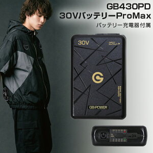�y�X�[�p�[SALE�ő�20��OFF�z�y�݌ɂ���E���������z���M�W���p�� GB430PD 30V�o�b�e���[Pro USB-A �t�@�� �[�d�� �����o�� GB-POWER cyoshin japan