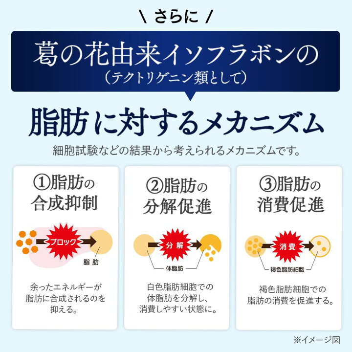楽天市場】大正製薬公式 おなかの脂肪対策タブレットPREMIUM 脂肪分解 