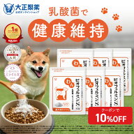 【大容量サイズ】犬 乳酸菌 わんビオフェルミンS （40g×6袋）ふりかけタイプ 全犬種対応 善玉菌 ビフィ…