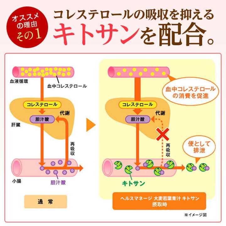 楽天市場】【公式】【定期便】大正製薬 ヘルスマネージ 大麦若葉 青汁 