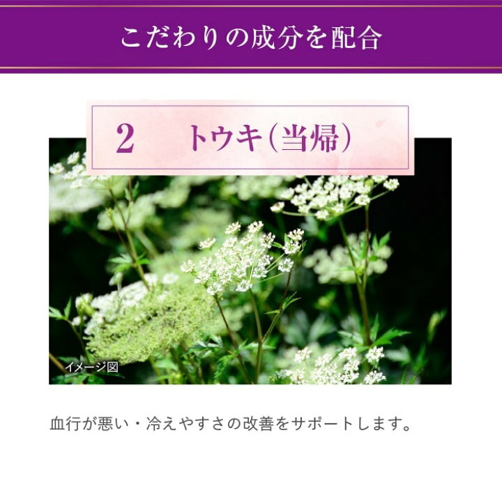 楽天市場】【公式】大正製薬 リポビタンアクティブ 50mL×60本 