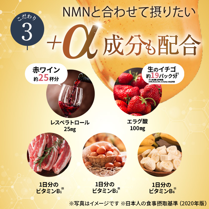 独特な店 NMN taisho - linsar.com