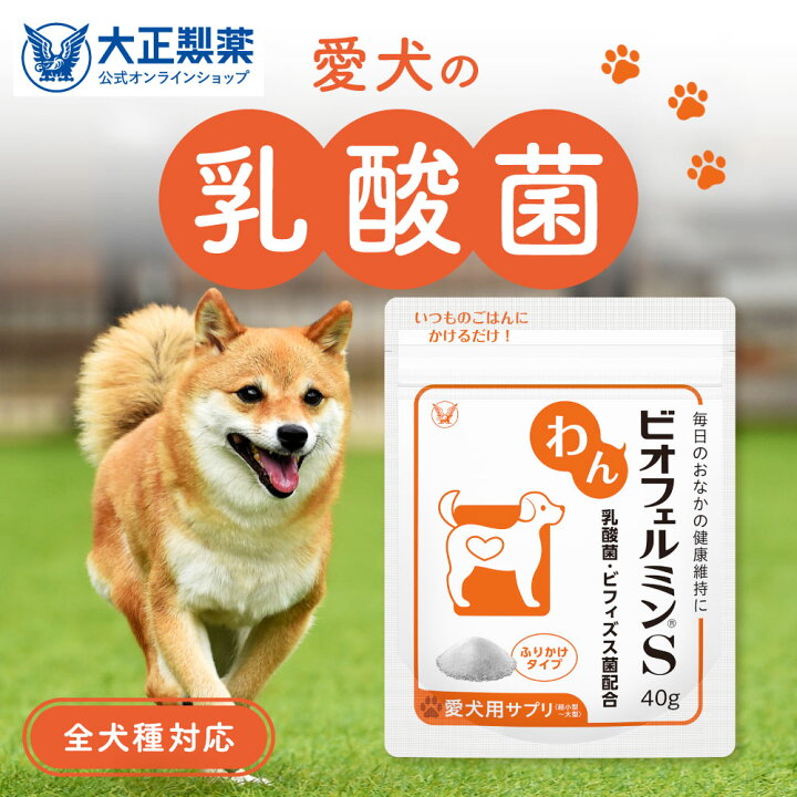 楽天市場】【大容量サイズ】犬 乳酸菌 わんビオフェルミンS （40g 