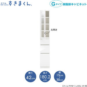 X܂@G^Cvkl15-30/s42cmiJj@SSD-G3L-15/30 D42 Ԏ[ 15cm I[_[ YƋ