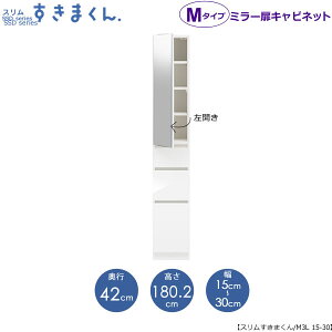 X܂@M^Cvk~[l15-30/s42cmiJj@SSD-M3L-15/30 D42 Ԏ[ 15cm I[_[ YƋ