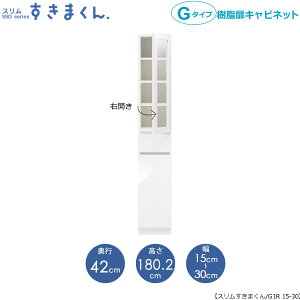 X܂@G^Cvkl15-30/s42cmiEJj@SSD-G1R-15/30 D42 Ԏ[ 15cm I[_[ YƋ